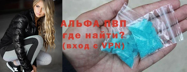 прущие грибы Баксан