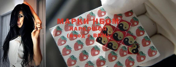 прущие грибы Балахна