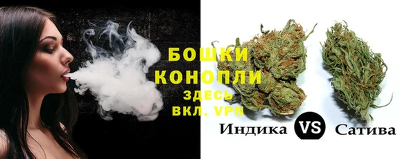 прущие грибы Балахна