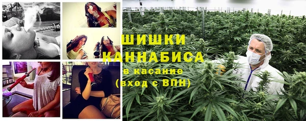 прущие грибы Баксан