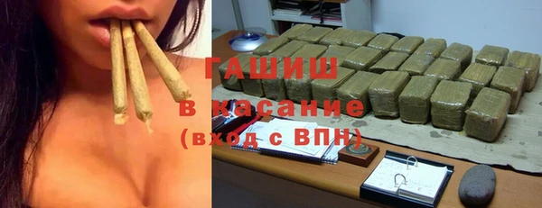 прущие грибы Балахна