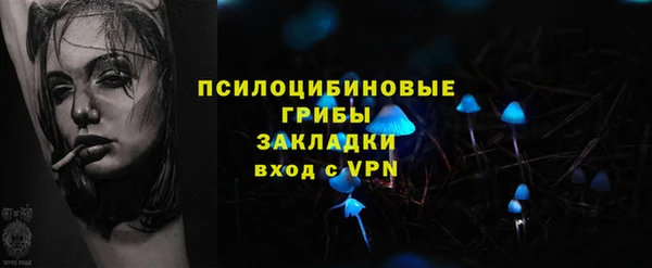прущие грибы Баксан