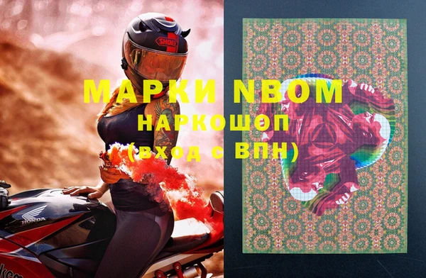 прущие грибы Баксан