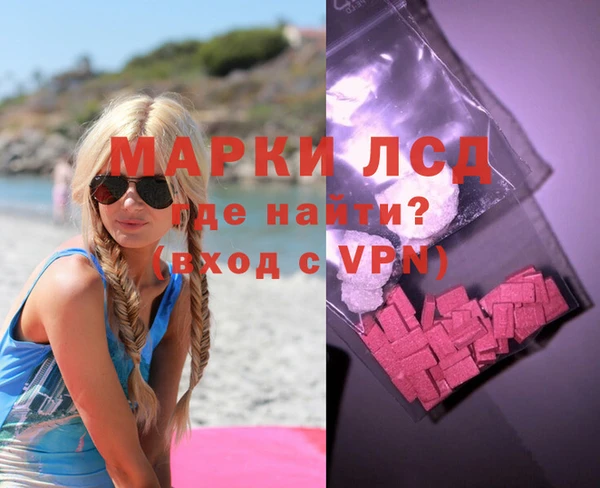 прущие грибы Баксан