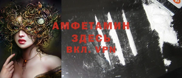 прущие грибы Балахна