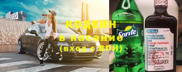 прущие грибы Баксан
