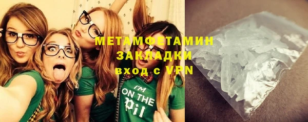 прущие грибы Балахна