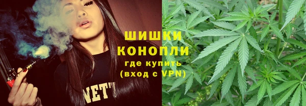 прущие грибы Баксан