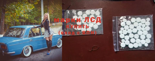 прущие грибы Балахна