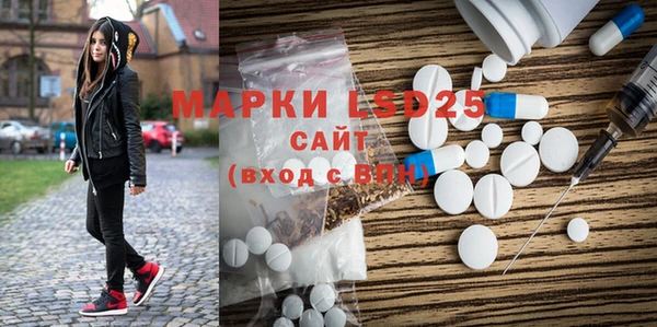 прущие грибы Балахна