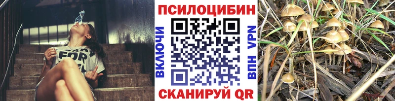 Галлюциногенные грибы прущие грибы  сколько стоит  Североморск 